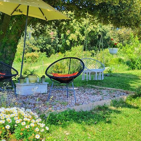 Agriturismo Podere Le Palaie Monterotondo  外观 照片