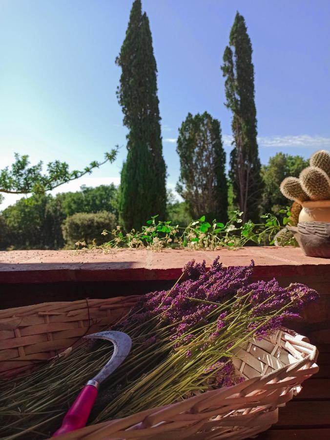 Agriturismo Podere Le Palaie Monterotondo  外观 照片