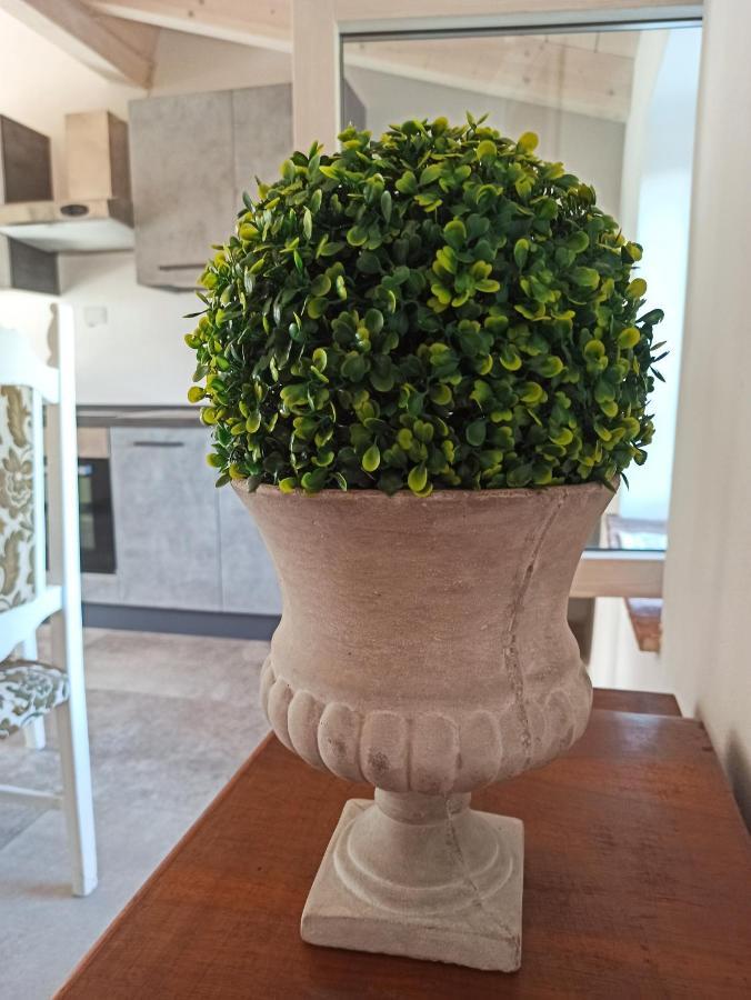 Agriturismo Podere Le Palaie Monterotondo  外观 照片