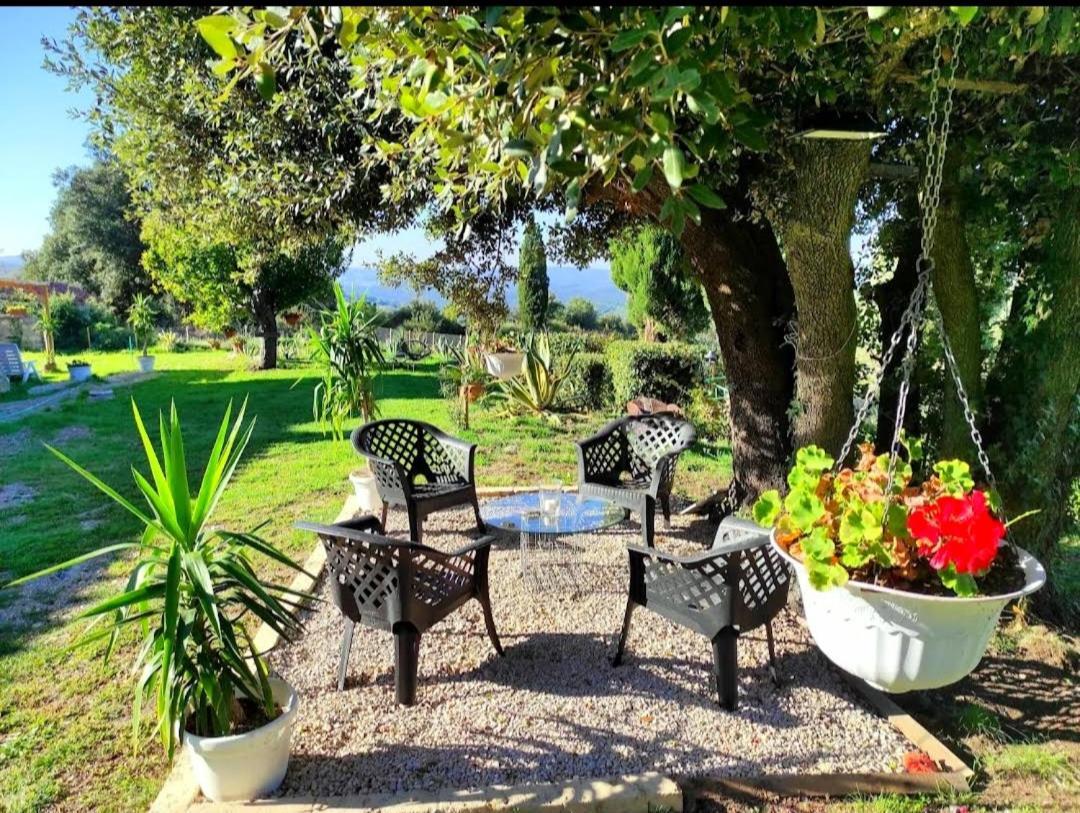 Agriturismo Podere Le Palaie Monterotondo  外观 照片