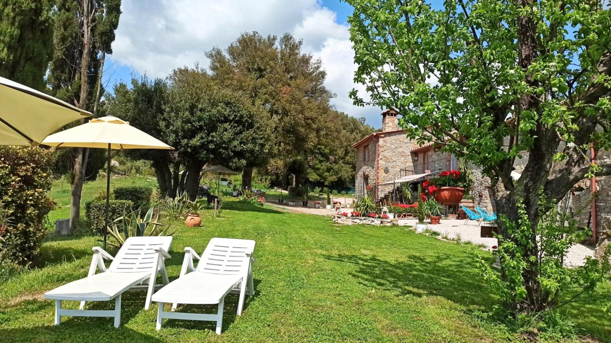 Agriturismo Podere Le Palaie Monterotondo  客房 照片