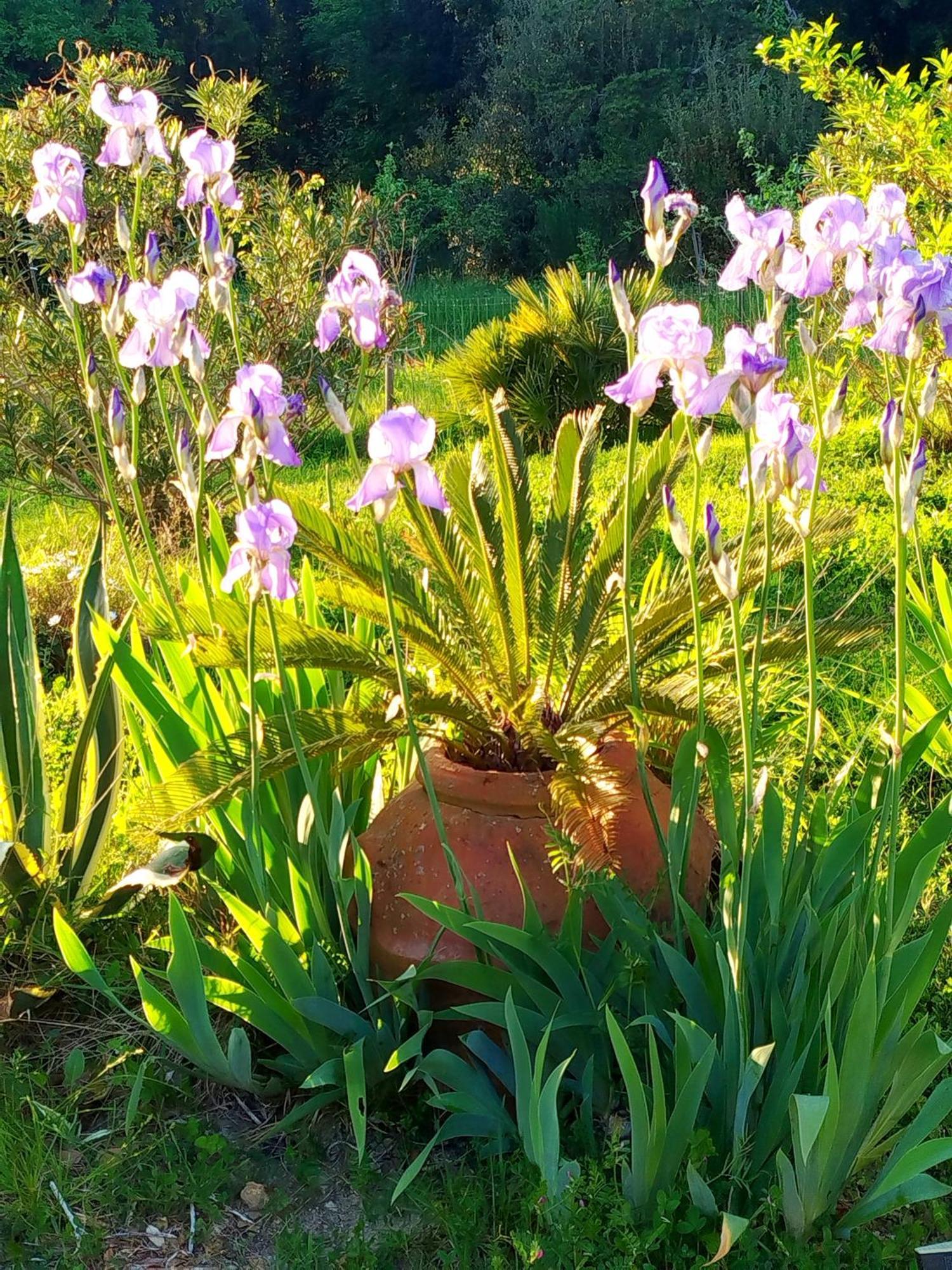 Agriturismo Podere Le Palaie Monterotondo  外观 照片